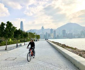 私人單車初學班 (一堂)